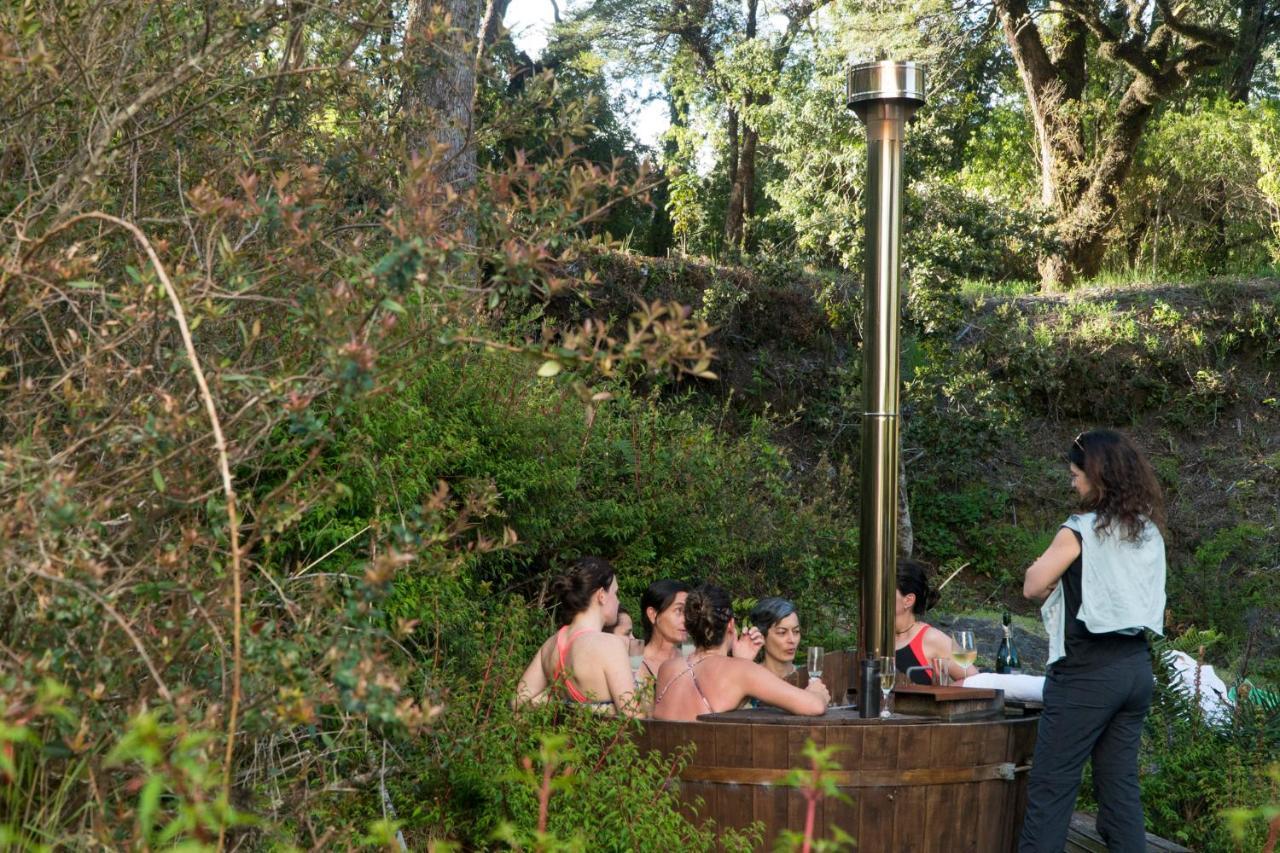 Petrohue Lodge エクステリア 写真