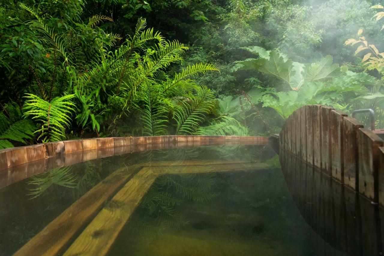 Petrohue Lodge エクステリア 写真
